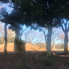 １月２３日（土）立つ鳥跡を濁さずの画像