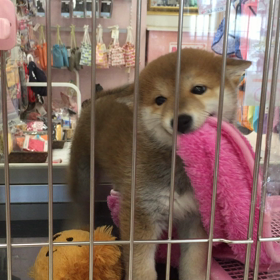 同じ動き（笑）の画像