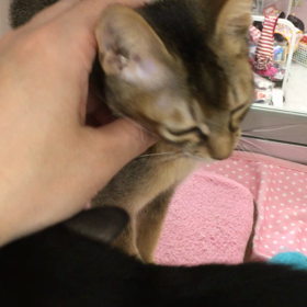 甘えん坊♪の画像
