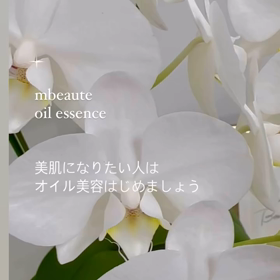 2023/11/14の画像