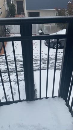 東京も雪☃️ 寒かったの記事動画