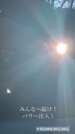 いろんな断捨離をの記事動画