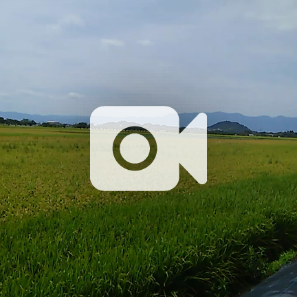滋賀県 近江八幡 カフェ&バー モン・トレゾール | 滋賀県 近江八幡市 カフェ&バー モントレゾール 「アルバイト募集中！」