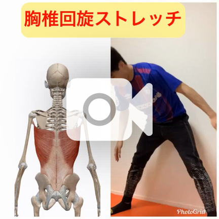 6 胸椎回旋ストレッチ Dr ストレッチ 聖蹟桜ヶ丘店ブログ