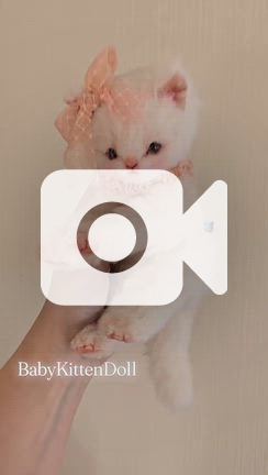 2025/12/02 | *miumoe*創作人形 オリジナルドール作ってます♡