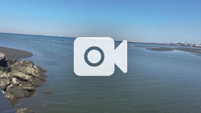 家族と母性の概念を再定義する