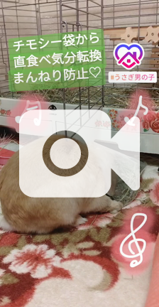 まんねり防止おうち時間 Amourbec Nail 京都木屋町ジェルネイルサロン 他店オフ無料