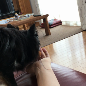 パパ遊んでっ♬の画像