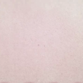 お迎え記念日 ＊〜2020〜＊sallyの画像