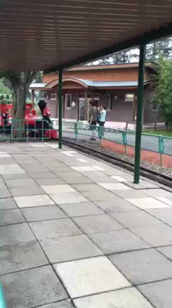 花火やら動物園やらなっとう味やらの記事動画
