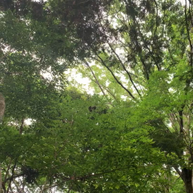 【脳スッキリ！タイム中♬】の画像