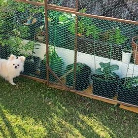 #今日の天気はの画像