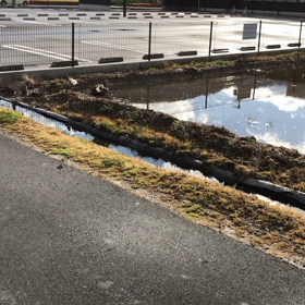 2020/05/20の画像
