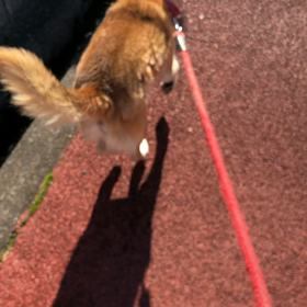 2019/12/13の画像