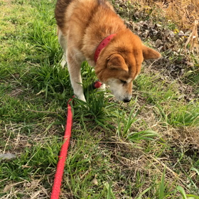 2020/11/28の画像