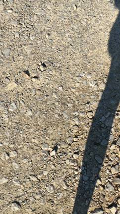 初○○会の記事動画