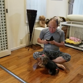 愛犬に相手にしてもらえない夫　笑の画像