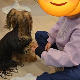 ワンちゃんが大好きな孫の画像