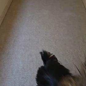遊ぶの画像