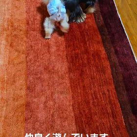 仲良しの画像