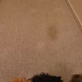 ライルとリンちゃんの画像
