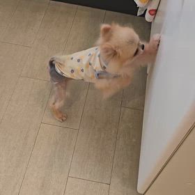 はじめての画像