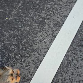 ライルとの画像