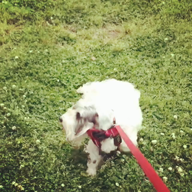 私は、自由人⁉️の画像