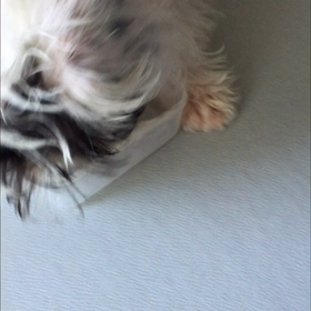氷であそぼの画像