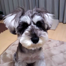 病状記録②の画像