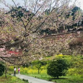 2024/04/05の画像