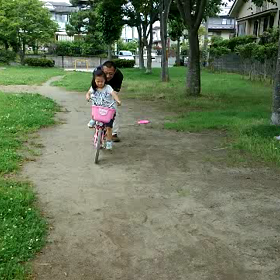 私は木…(笑)の画像