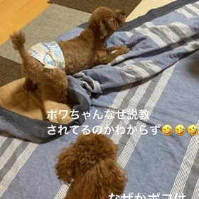 2020/08/18の画像