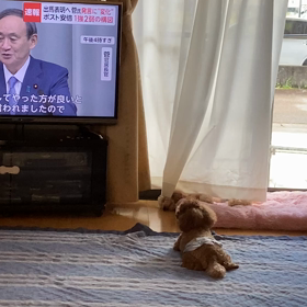 2020/09/05の画像