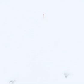 初雪でしたの画像