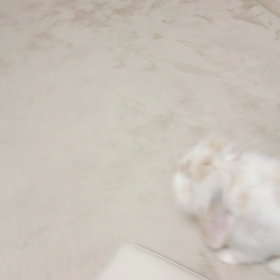 ノリノリの画像