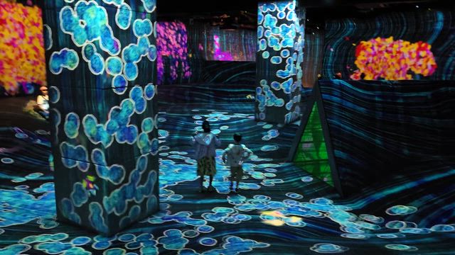福岡teamLab✰チームラボ✰の記事動画