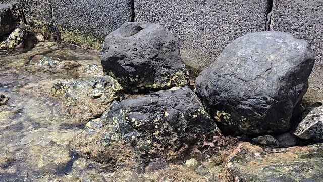 ワイキキビーチでの我が家の遊び方ʬʬの記事動画