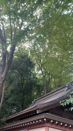 初めての場所で感じたことの記事動画