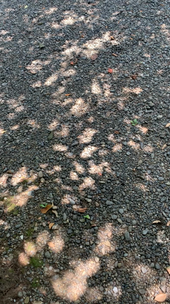 毎日の生活の中での記事動画
