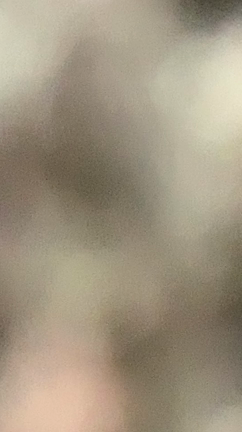 初めての場所で感じたことの記事動画