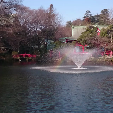 【動画】朝の守り言葉 #伝える言葉 #名言の記事動画