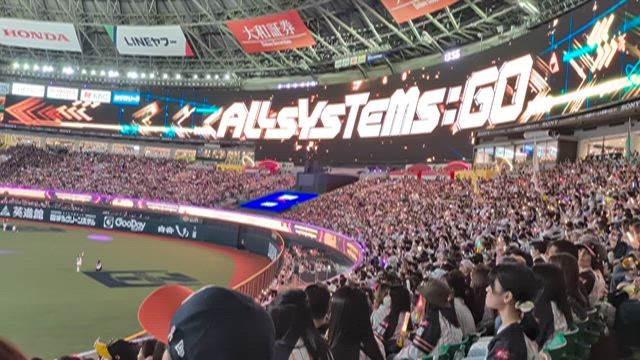 ピンクフルデーの記事動画