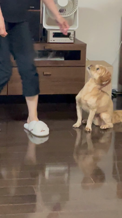 暑い日の遊び、、の記事動画