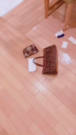 【介護の癒し】わんこもシニアの記事動画