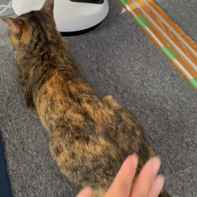 尻ぽんTIMEの画像