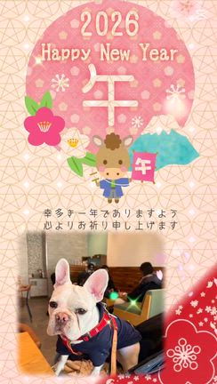 あけましておめでとうございます。明日の私に幸あれ！の記事動画