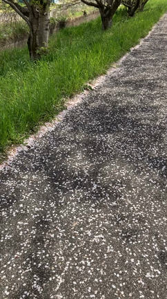見直すタイミングは人それぞれの記事動画