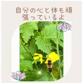 2024/08/25の画像