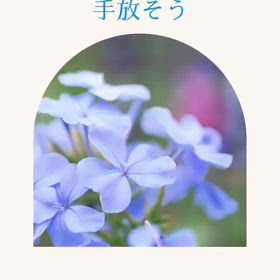 2024/09/02の画像